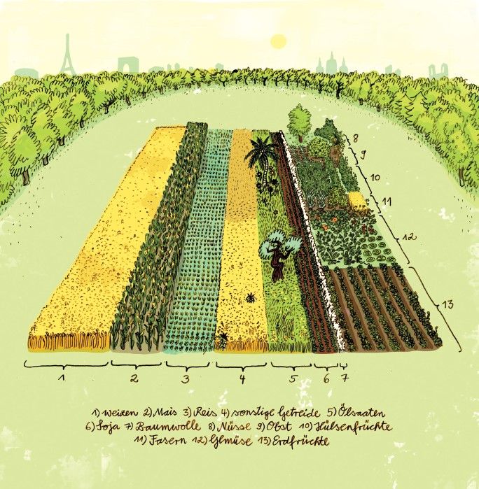 Illustration eines 2000m2 Ackers aufgeteilt in verschiedene Landwirtschaftsprodukte