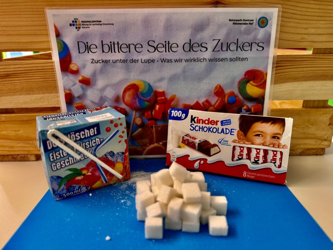 Auf dem Bild sieht man einen kleinen Tisch mit einem blauen Tuch. Darauf liegen Zuckerw&uuml;rfel, ein roter Trinkkarton mit Pfirsisch-Eistee und eine Packung Kinder-Schokolade.  Hinter dem Tisch steht ein gro&szlig;es, buntes Plakat mit vielen Bonbons und Zuckerw&uuml;rfeln. Auf dem Plakat steht, dass es um die &bdquo;bittere Seite des Zuckers&ldquo; geht.  Das Bild soll zeigen, dass in vielen Lebensmitteln viel Zucker steckt.