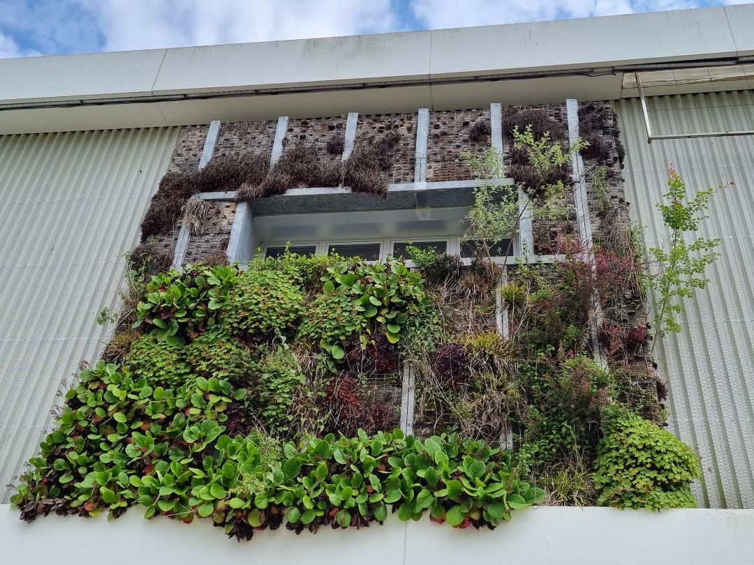 Begr&uuml;nte Hausfassade