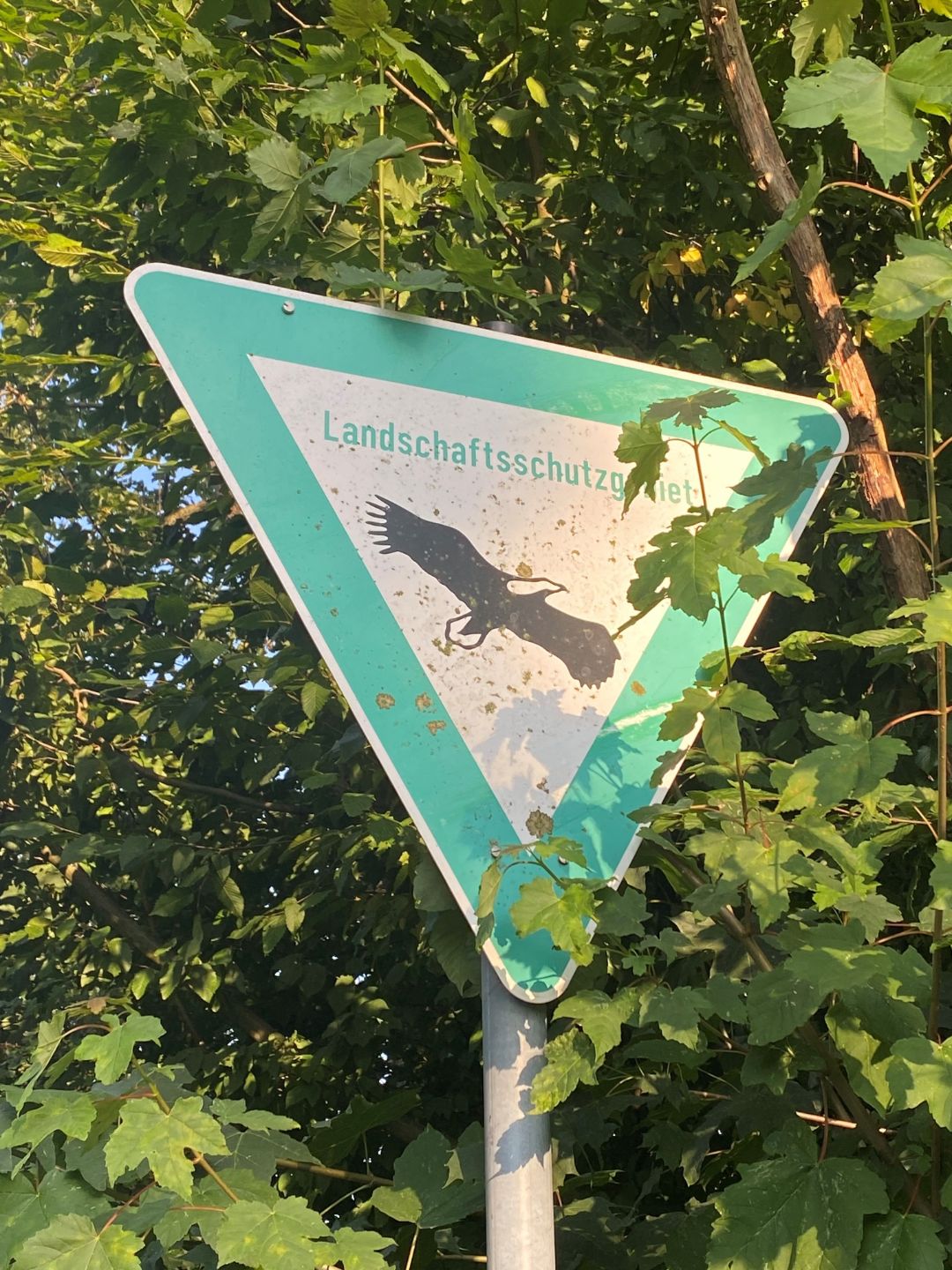 Ein gr&uuml;nes Schild mit der Aufschrift "Landschaftsschutzgebiet" steht am Wegesrand. Im Hintergrund befinden sich Str&auml;ucher.