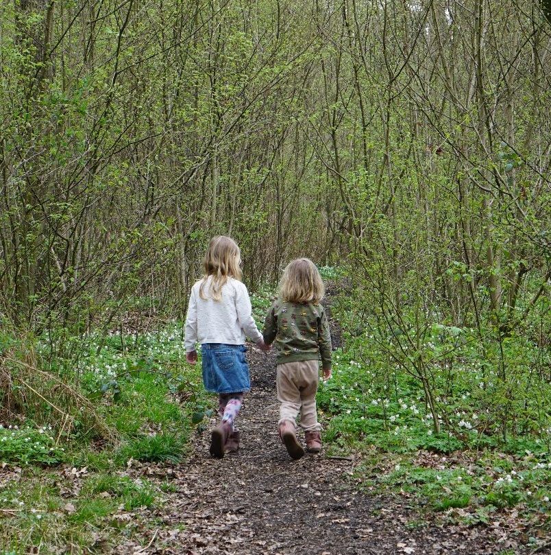 Auf einem Pfad im Wald gehen zwei Kinder Hand in Hand und sind von hinten zu sehen. Am Wgesrand bl&uuml;hen Anemonen.