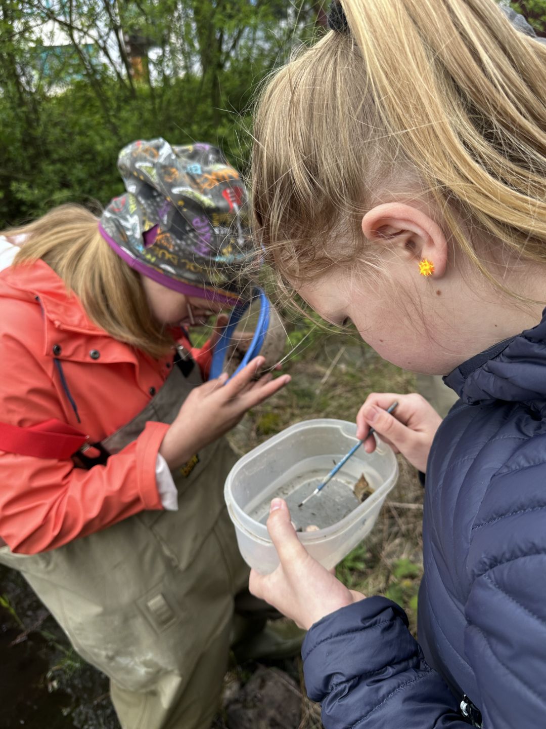 Zwei blonde M&auml;dchen schauen jeweils in eine Plastikschale. In dieser sind Wasser und aus dem Teich entnommene Kleintiere. Sie halten beide auch einen Pinsel in der Hand.