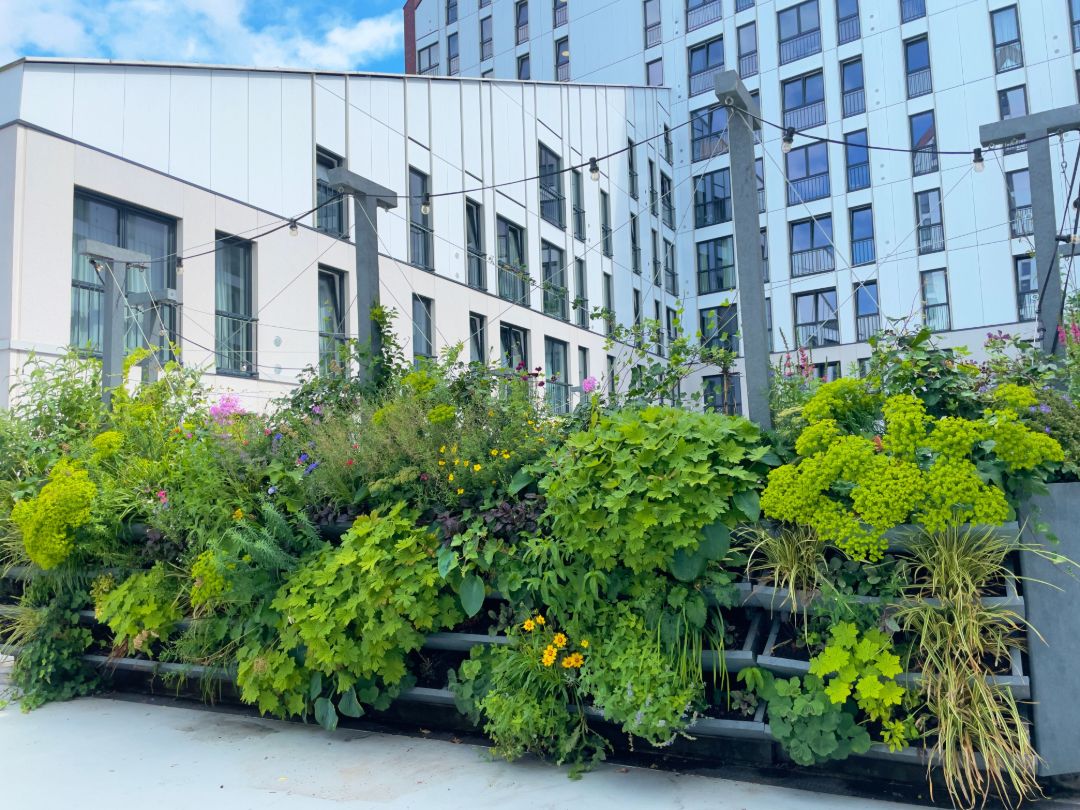 Vertikale Staudenbeete als Begr&uuml;nung vor einer modernen H&auml;userfassade.