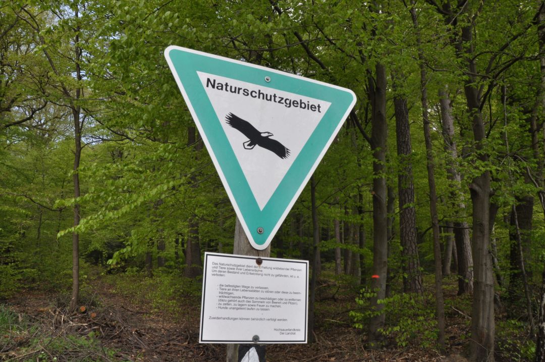 Dreieckiges Schild mit gr&uuml;nem Rand, Spitze nach unten mit der Aufschrift "Naturschutzgebiet" und der Silhouette eines Wei&szlig;kopfseeadlers, darunter eine Texttafel mit wichtigen Informationen zu den wichtigsten Verboten und Einschr&auml;nkungen. Im Hintergrund ist ein Buchenwald im Fr&uuml;hjahr mit frischen gr&uuml;nen Bl&auml;ttern zu sehen.