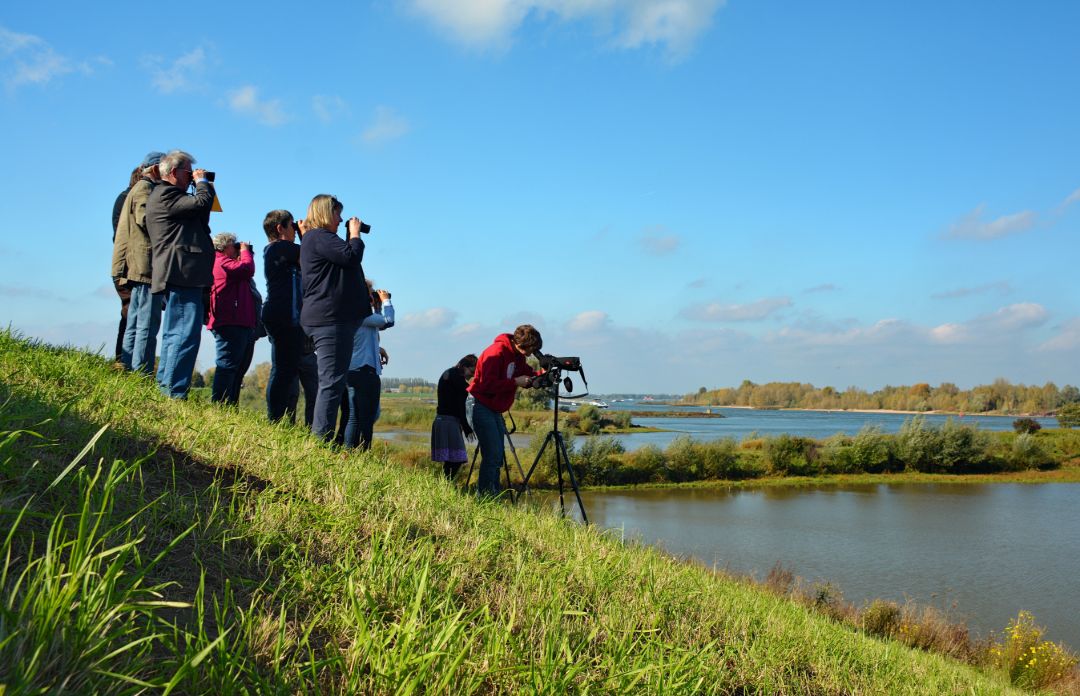 Ein Gruppe von Menschen steht auf einem Deich am Rhein und beobachtet V&ouml;gel durch Ferngl&auml;ser. Ein Mensch steht etwas weiter vorne und guckt durch ein Spektiv.