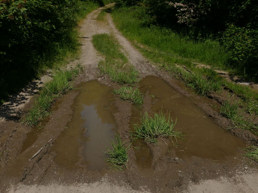 Blick auf Fahrspuren in der Erde. Sie sind mit Wasser gef&uuml;llt.