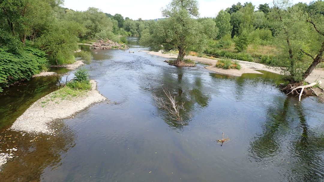 Blick auf ein renaturiertes Flie&szlig;gew&auml;sser. Es sind Kiesb&auml;nke, Kiesinseln mit B&auml;umen im Flie&szlig;gew&auml;sser sichtbar. Die Ufer sind mit B&auml;umen und B&uuml;schen bewachsen.