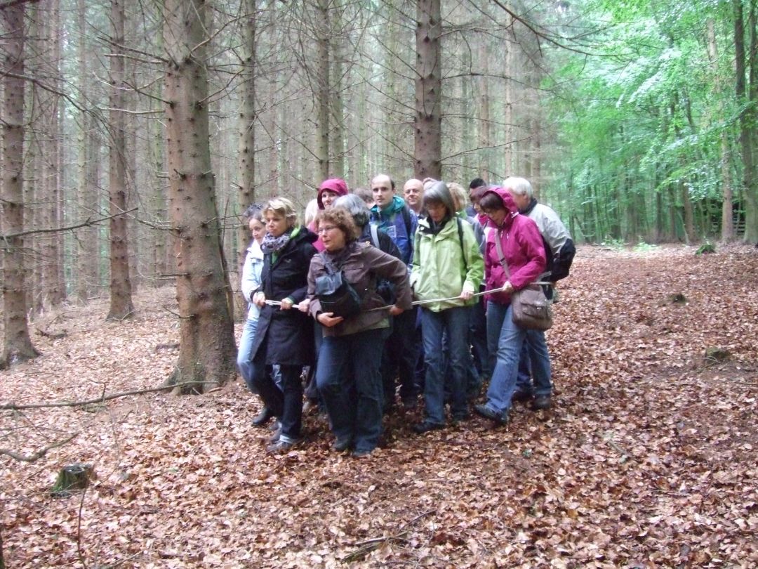 Teilnehmende bei einer Kooperations&uuml;bung mit einem Seil im Wald.
