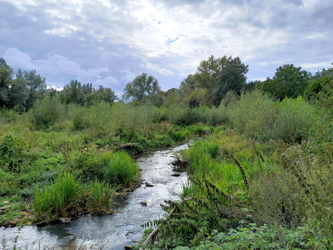Blick entgegen der Flie&szlig;richtung auf ein renaturiertes, leicht geschwungenes Flie&szlig;gew&auml;sser. An den Ufern ist der Aufwuchs von Str&auml;uchern und B&auml;umen zu sehen. Der Himmel ist blau mit wenigen Wolken. Die Sonne scheint.