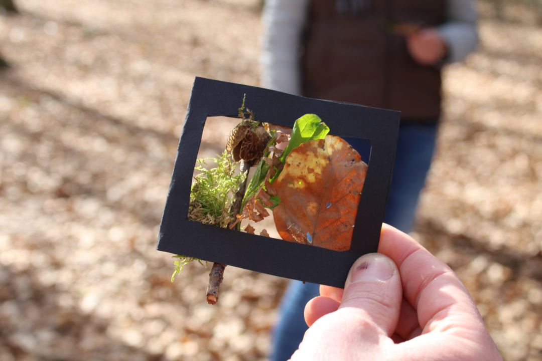 Das Bild zeigt eine Bildgestaltung mit Herbstfarben- und materialien.