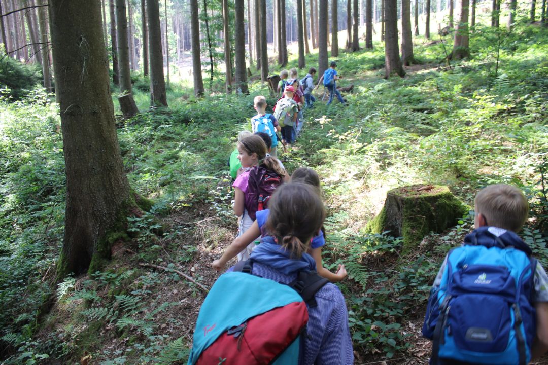 Das Bild ziegt eine Schulklasse im Wald.