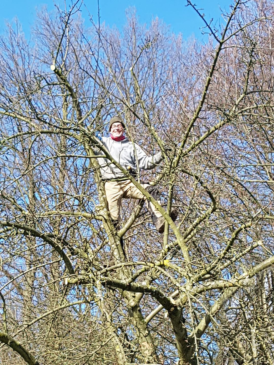 Mann steht in der noch kahlen Krone eines Baumes und l&auml;chelt in die Kamera
