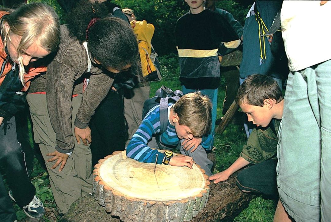 Kind z&auml;hlt die Jahresringe einer Baumscheibe. Um es herum stehen weitere Kinder unterschiedlichen Geschlechts und unterschiedlicher Hautfarbe, die ebenfalls auf die Baumscheibe gucken.