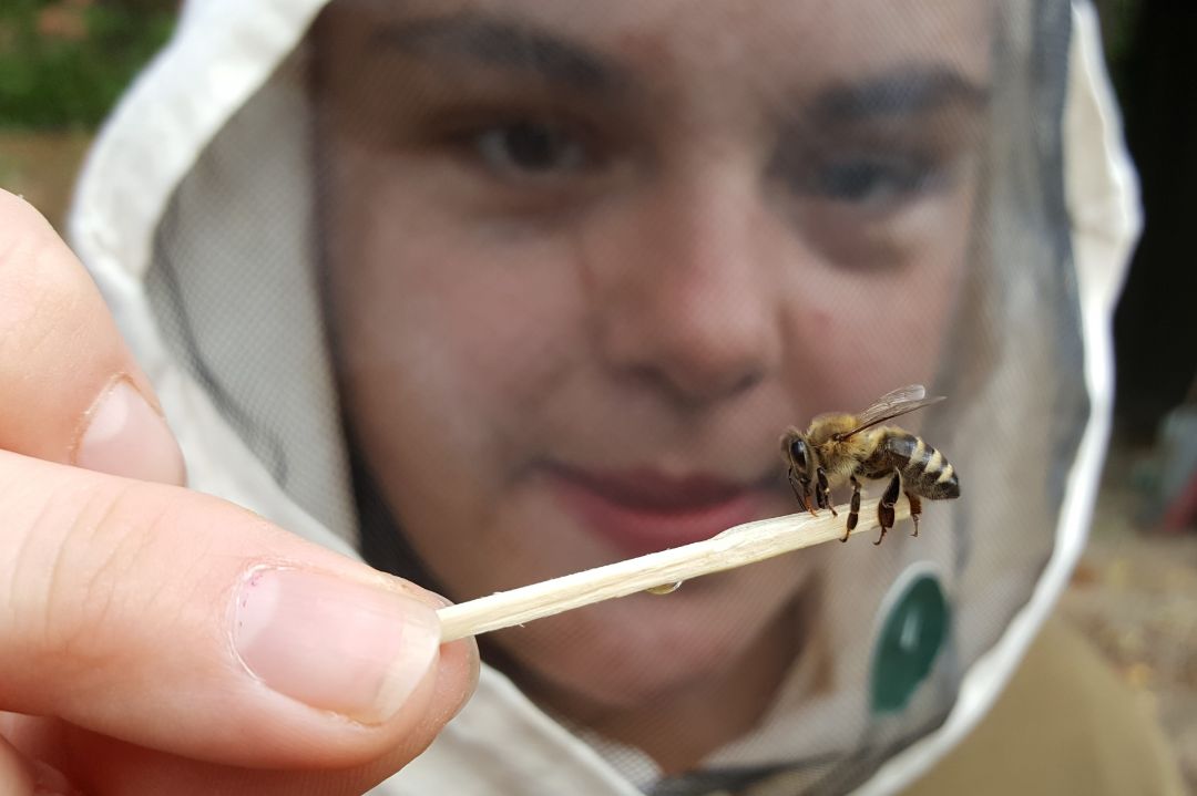 Eine Jugendliche in Imkerhaube f&uuml;ttert eine Biene, die auf einem Streichholz sitzt, das sie zwischen den Fingern h&auml;lt.