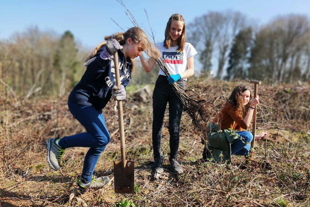 Drei Jugendliche pflanzen B&auml;ume ein