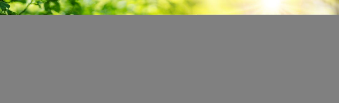 Zwei H&auml;nde halten jeweils ein Puzzlest&uuml;ck hoch. Im Hintergrund sind gr&uuml;ne Baumkronen zu sehen, durch die die Sonne scheint.