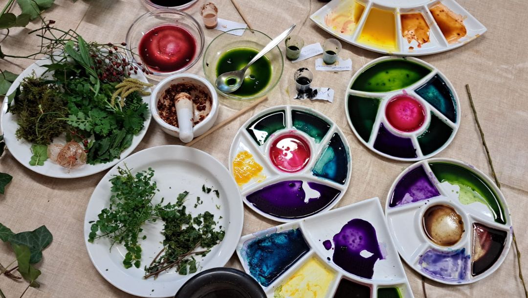 Bunte Pflanzenfarben auf Tellern.