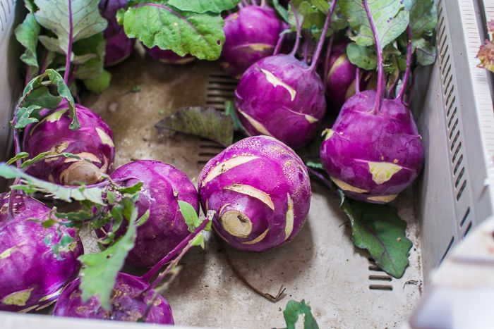 Das Bild zeigt eine Kiste in der rote Kohlrabi liegen