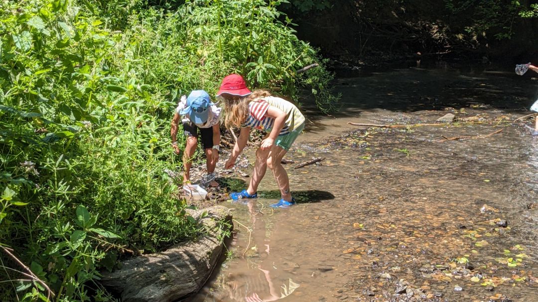 Zwei Kinder stehen in einem nat&uuml;rlich flie&szlig;enden Bach und erkunden das Ufer