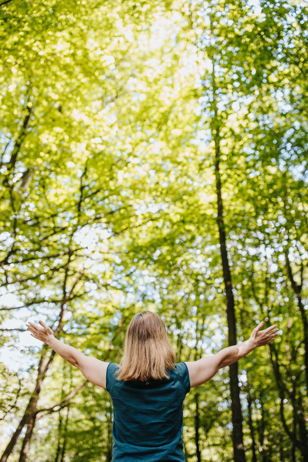 Eine Person steht mit dem R&uuml;cken zu uns im Wald, Arme und Blick sind nach vorne oben ausgebreitet.