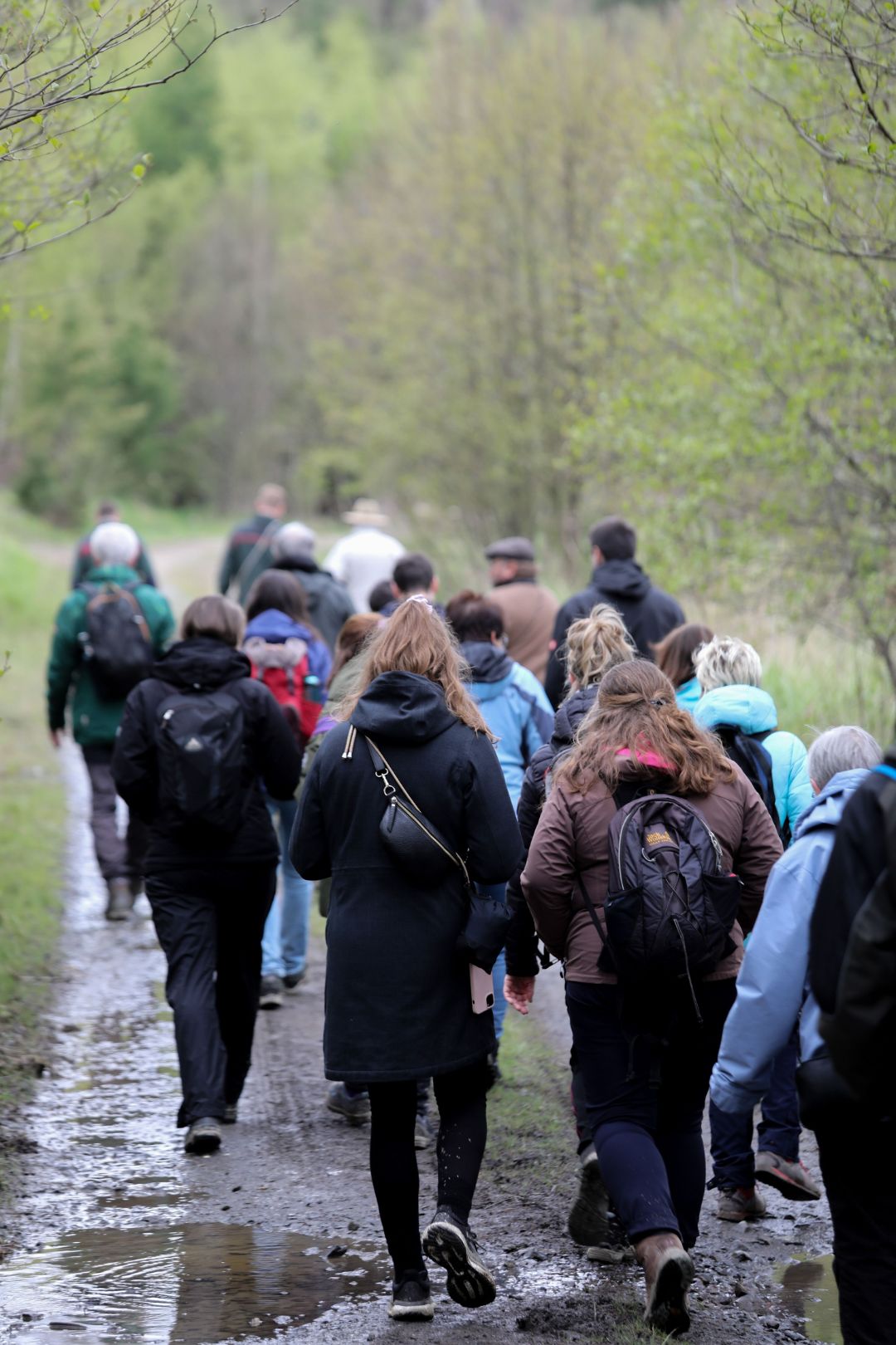 eine Gruppe wandernder Menschen von hinten auf einem nassen Waldweg. Im Hintergrund verschwommen zu sehen ist ein Wald