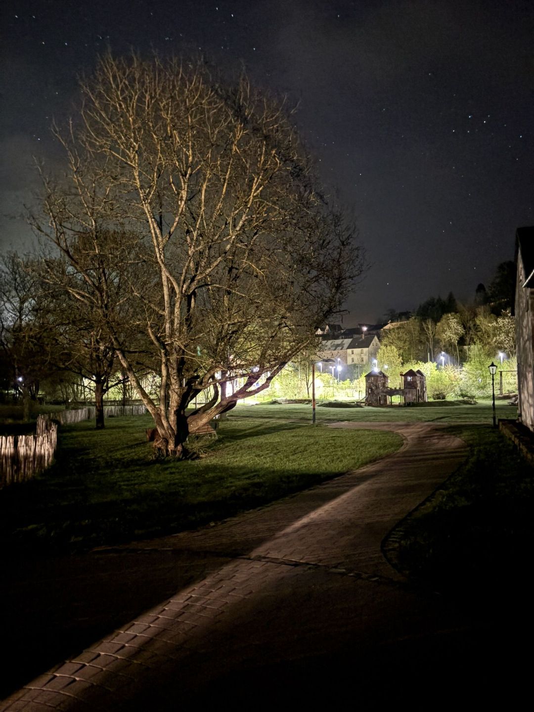 Das Foto zeigt eine Parkanlage und dahinter ein Bahnhofsgel&auml;nde bei Nacht. Das Bahnhofsgel&auml;nde ist starke beleuchtet. Am Himmel sind helle Sterne zur sehen. 