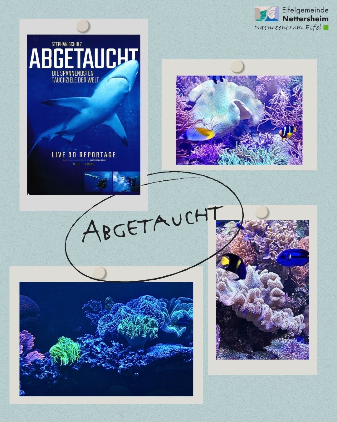 Die Bildcollage zeigt vier Bilder, die das Thema der Veranstaltung "Abgetaucht" aufgreifen. Ein Bild zeigt das Plakat des Abendvortrags "Abgetaucht" mit einem Hai. Die drei weiteren Bilder zeigen Ausschnitte des Korallenriffaquariums im Naturzentrum Eifel und Fische.a