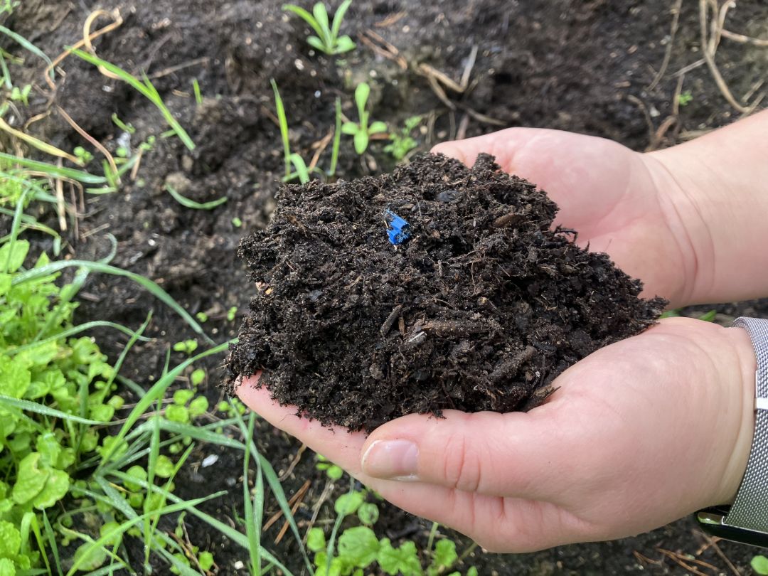 Zwei H&auml;nde halten eine Hand voll Erde, in der kleine Plastikpartikel erkennbar sind.
