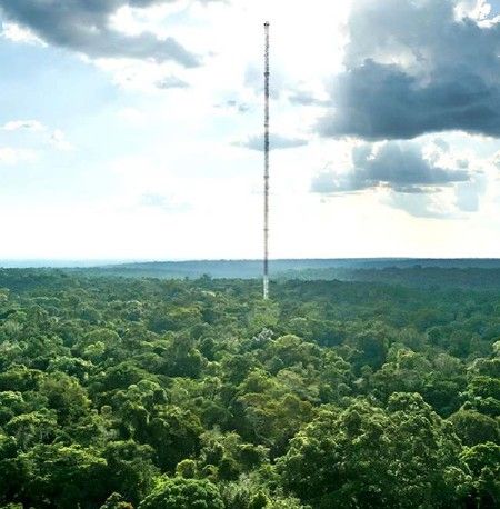 Eine Waldlandschaft mit einem Klimamessger&auml;t, welches in den Himmel ragt.