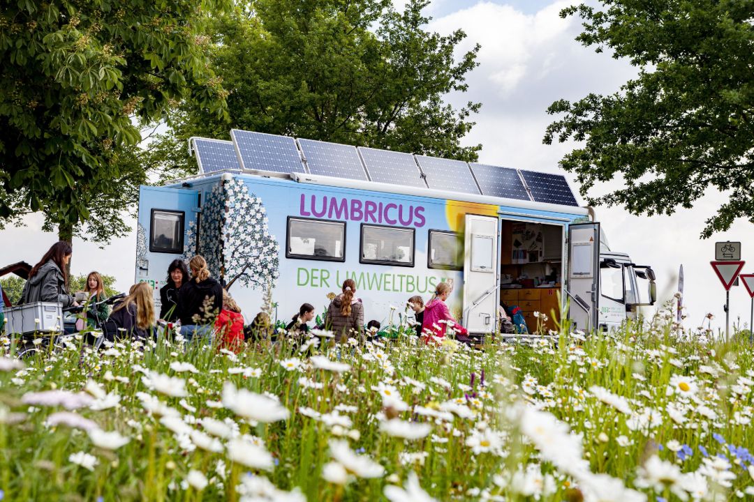 Im Hintergrund steht der bunt bemalte LUMBRICUS Umweltbus mit hochgefahrener Solaranlage auf dem Dach. Der Umweltbus hat die Eingangst&uuml;ren ge&ouml;ffnet. Vor dem Umweltbus steht eine Umweltp&auml;dagogin mit den teilnehmenden Sch&uuml;lerinnen. Im Vordergrund des Fotos ist eine Blumenwiese zu sehen. 