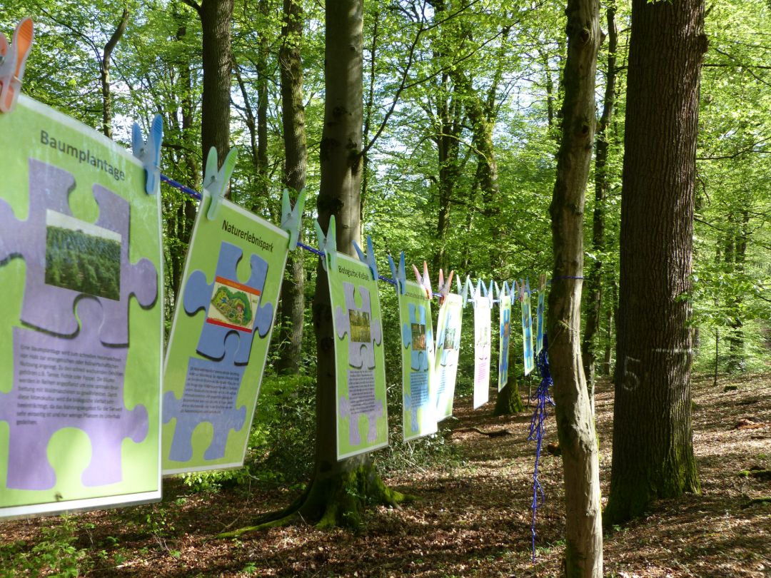 Eine Kordel ist im Wald zwischen zwei B&auml;ume gespannt. An Ihr h&auml;ngt eine Ausstellung an Bl&auml;ttern zur Information.