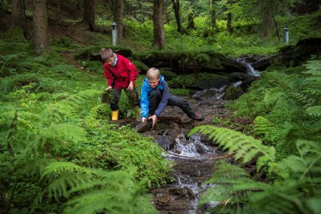 Zwei Kinder spielen an einem Bach im Wald.