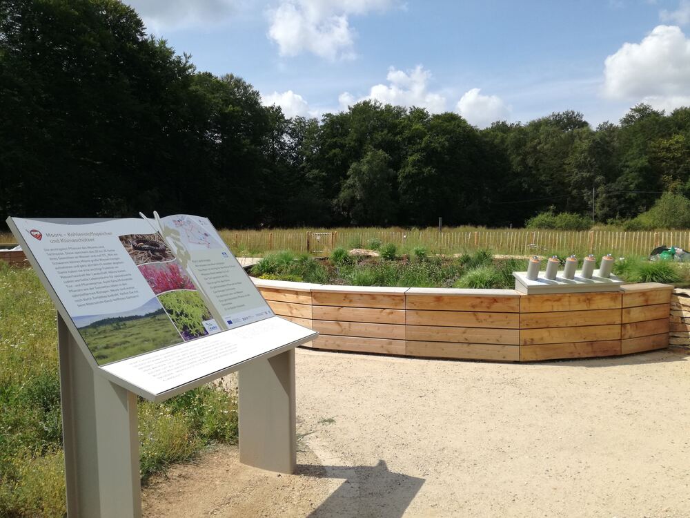 Moorbeet im Biotop-Erlebnis-Garten der NABU-Naturschutzstation Münsterland. Foto: A. Tecker