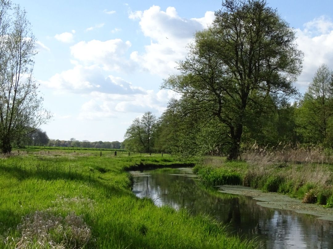 Auf dem Bild ist ein Flusslauf mit einer links daneben liegenden Aue zu sehen. Im Hintergrund stehen B&auml;ume und der Himmel ist blau mit einigen Wolken.