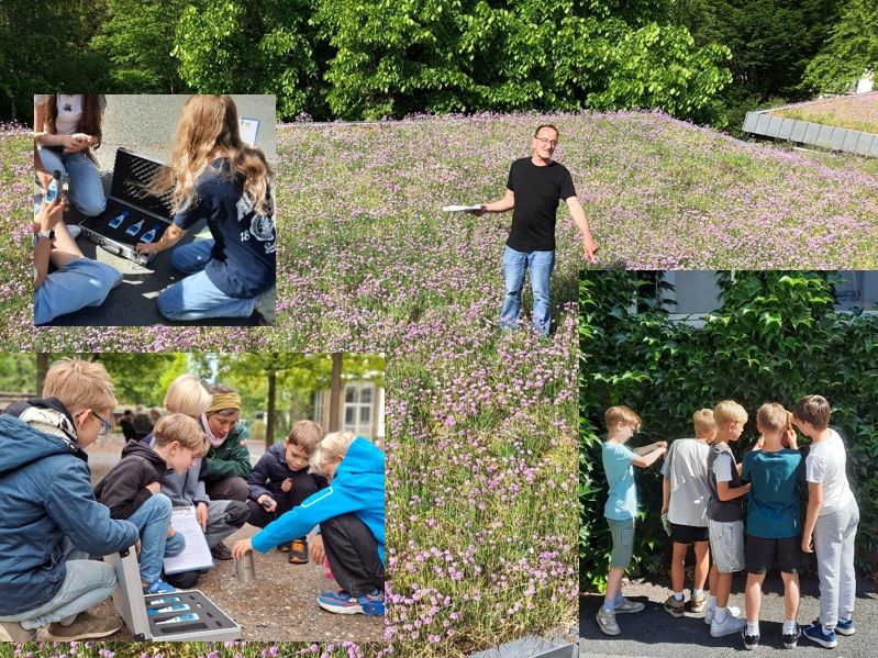 Es sind verschiedene Klimafolgenanpassungsma&szlig;nahmen zu sehen: Schulgeb&auml;ude mit Dachbegr&uuml;nung, Haus mit Fassadenbegr&uuml;nung, ein Messkoffer mit verschiedenen Messger&auml;ten und ein Versuch zur Bodenversickerung zu sehen.