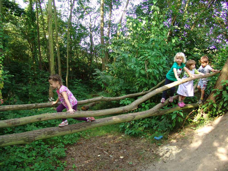 Kinder balancieren auf einem Baumstamm 