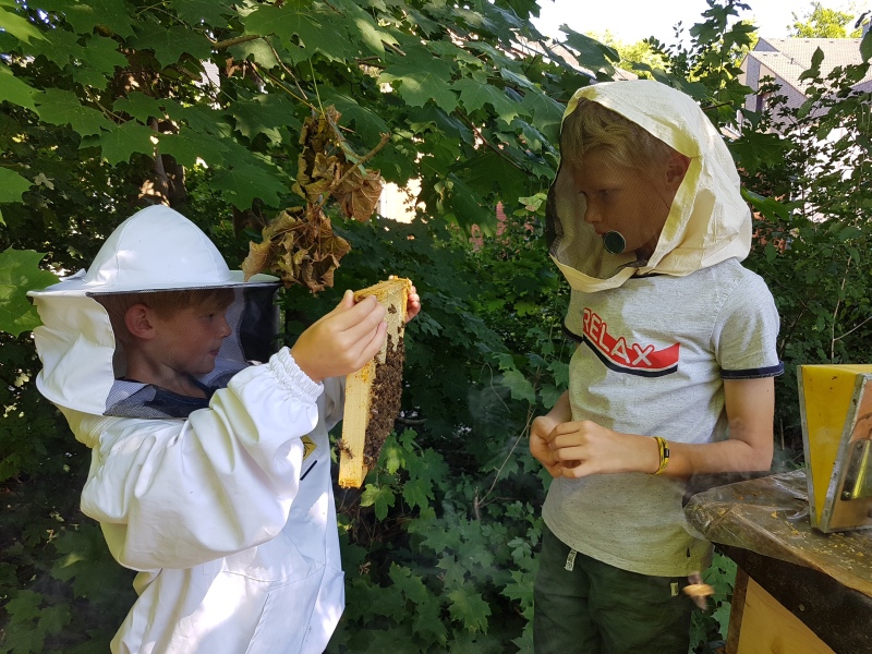 Felix und Matteo bei den Bienen