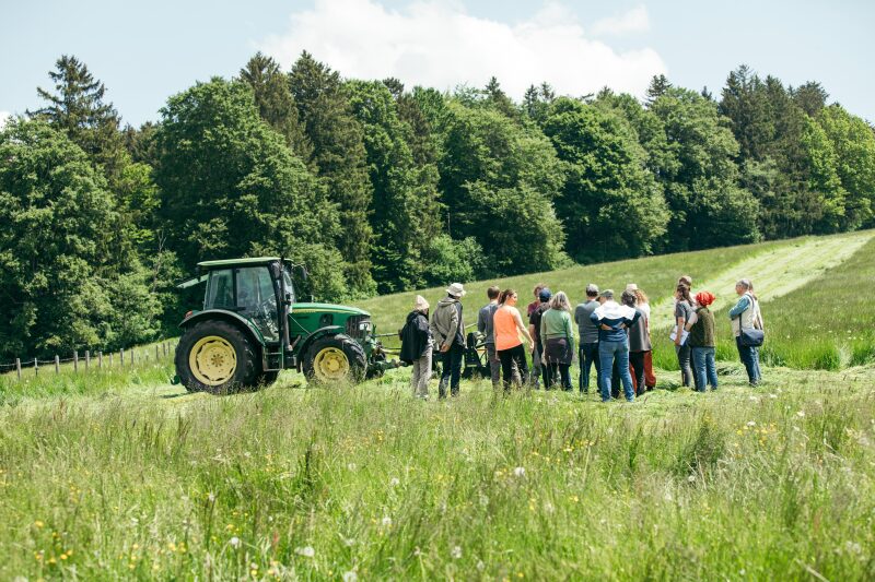 Ein Gruppe von Landwirt:innen steht zusammen neben einem Traktor auf einer teilweise gemähten Grünlandfläche. Im Hintergrund grenzt ein Gehölzstreifen an die Fläche, im Vordergrund des Bildes  blühen noch einige Pflanzen.