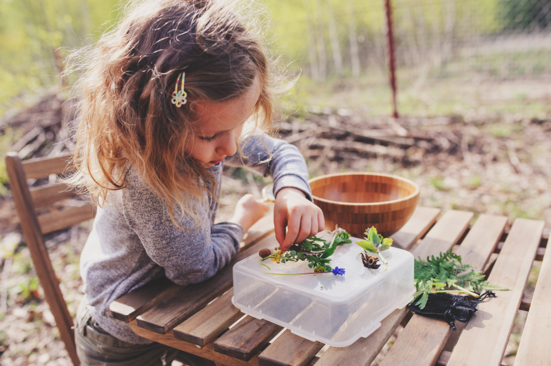 Ein Kind sitzt draußen an einem Gartentisch und betrachtet verschiedene vor ihm liegende Wildpflanzen.