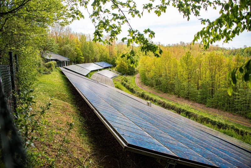 Photovoltaikanlage im Wald