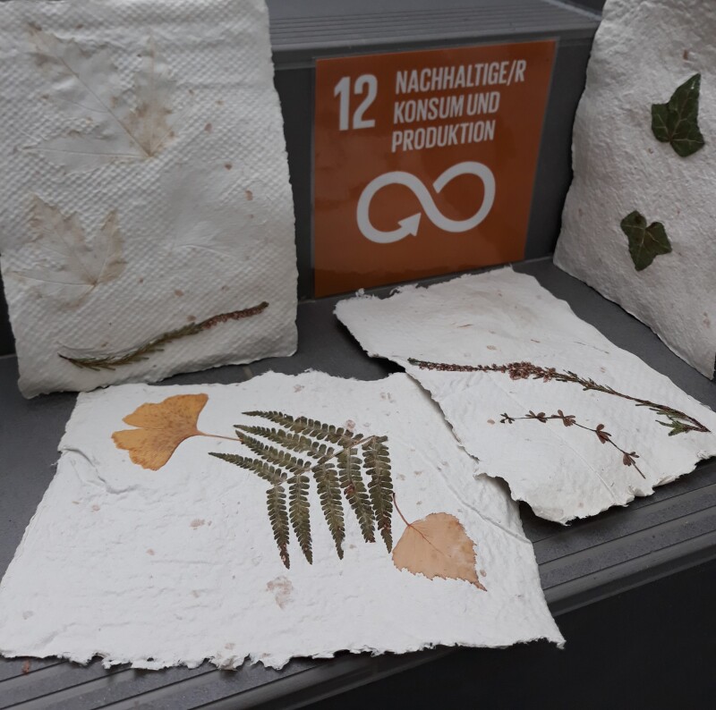 Vier Blätter handgeschöpftes Papier mit verschiedenen Pflanzen sowie ein Schild mit dem Nachhaltigkeitsziel 12 