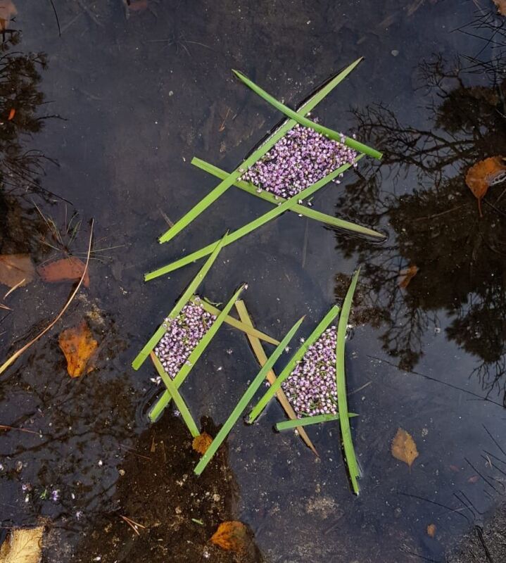 Künstlerisch gestaltete Blüten und Blätter auf Wasseroberfläche